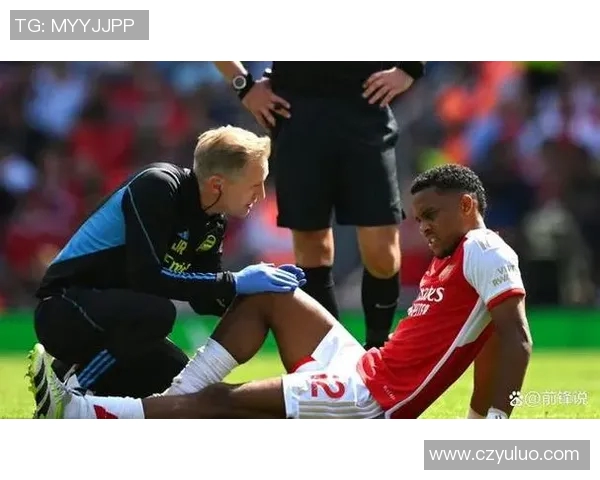 2009年曼联与阿森纳巅峰对决回顾球迷心中的经典之战