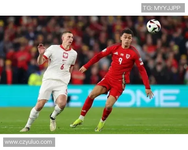 塞尔维亚与威尔士精彩对决全场录像回放及精彩瞬间分析